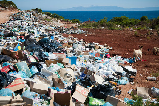 The Journey of Our Trash: why reusable products matter