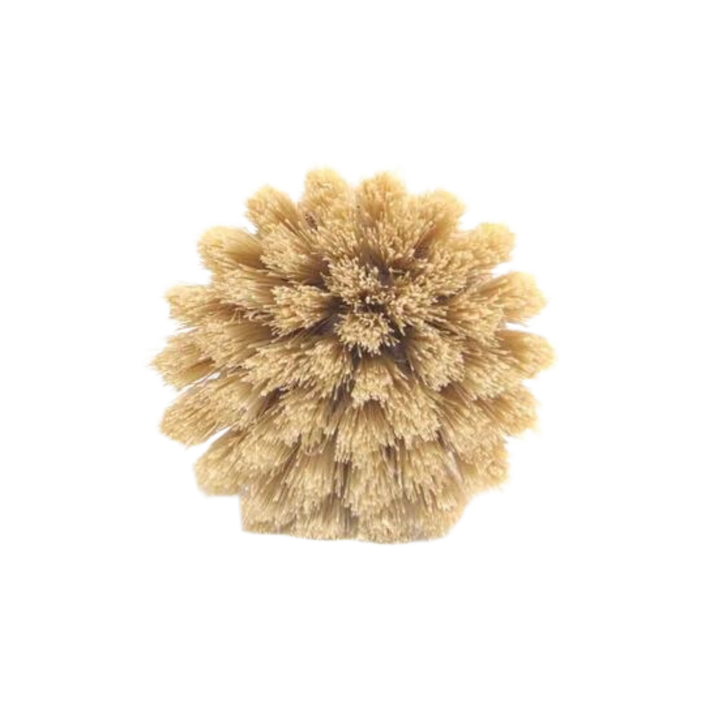 Bamboo scrub brush