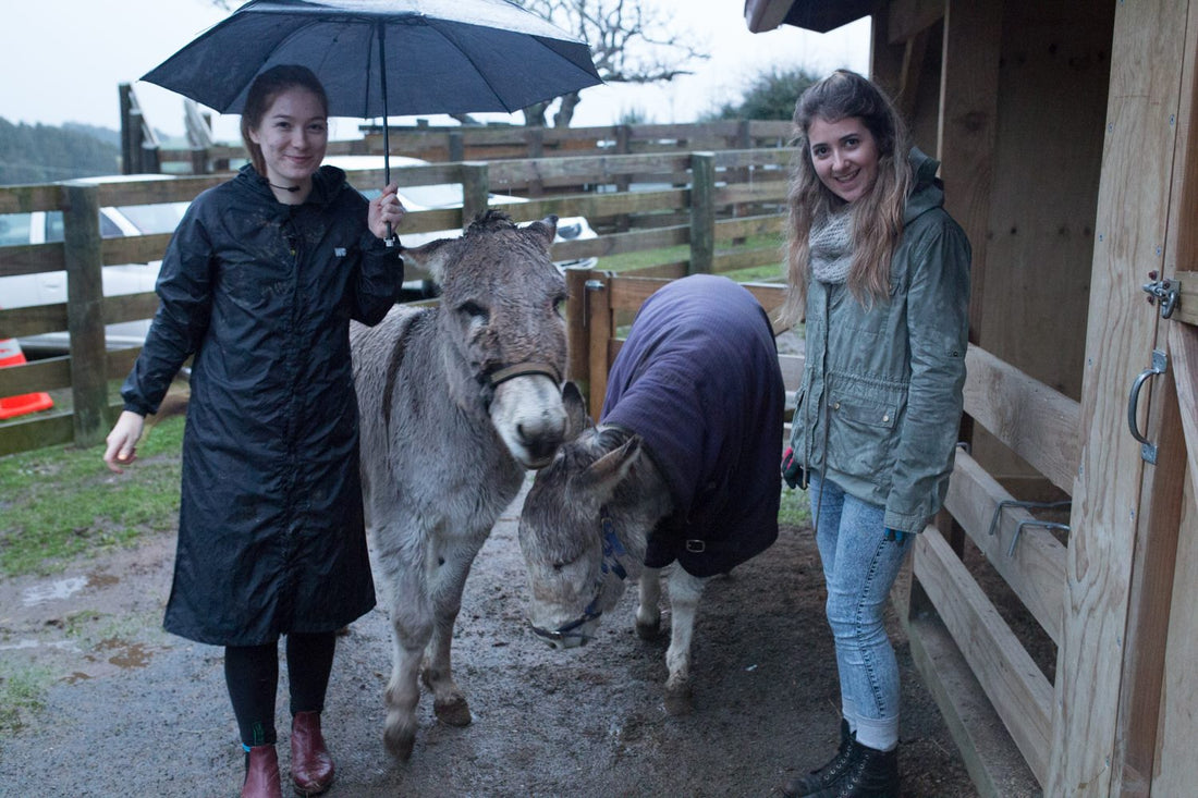 Animal Sanctuary Trip